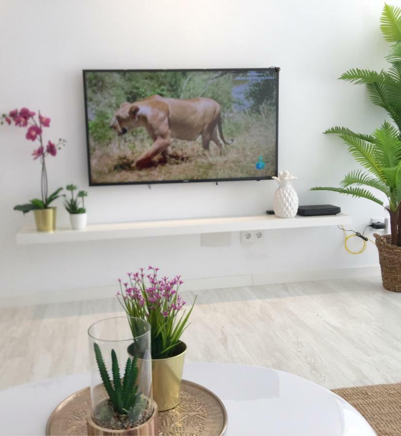 Stunning Spacious City Apartment With Free Parking Malaga Luaran gambar